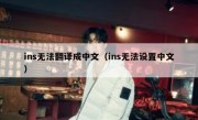 ins无法翻译成中文（ins无法设置中文）