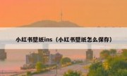 小红书壁纸ins（小红书壁纸怎么保存）