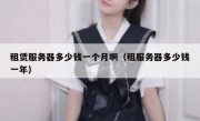 租赁服务器多少钱一个月啊（租服务器多少钱一年）
