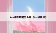 ins涨粉数据怎么看（ins涨粉丝）