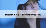 推特美国用户量（推特美国用户量大吗）