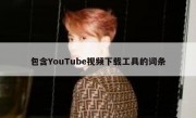 包含YouTube视频下载工具的词条