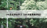 ins怎么评论不了（ins不能发表评论）