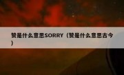赞是什么意思SORRY（赞是什么意思古今）