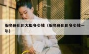 服务器租用大概多少钱（服务器租用多少钱一年）