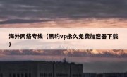 海外网络专线（黑豹vp永久免费加速器下载）