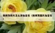 微博发照片怎么添加音乐（微博发图片加音乐）
