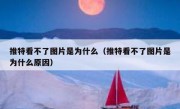 推特看不了图片是为什么（推特看不了图片是为什么原因）