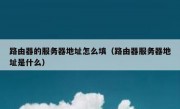 路由器的服务器地址怎么填（路由器服务器地址是什么）