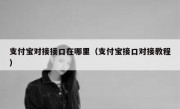 支付宝对接接口在哪里（支付宝接口对接教程）