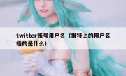 twitter账号用户名（推特上的用户名指的是什么）
