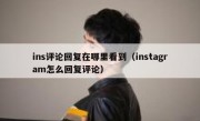 ins评论回复在哪里看到（instagram怎么回复评论）