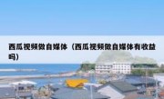 西瓜视频做自媒体（西瓜视频做自媒体有收益吗）