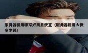 服务器租用哪家好而且便宜（服务器租用大概多少钱）