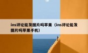 ins评论能发图片吗苹果（ins评论能发图片吗苹果手机）