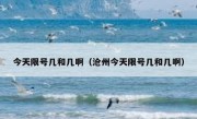 今天限号几和几啊（沧州今天限号几和几啊）
