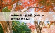 twitter账户被冻结（Twitter账号被冻结怎么办）