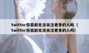twitter你目前无法关注更多的人吗（twitter你目前无法关注更多的人吗）