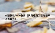小额贷款5000急用（网贷逾期了暂时还不上怎么办）