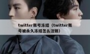 twitter账号冻结（twitter账号被永久冻结怎么注销）