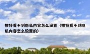 推特看不到隐私内容怎么设置（推特看不到隐私内容怎么设置的）