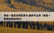 微信一直显示微信支付,跳转不过来（微信一直弹出微信支付）