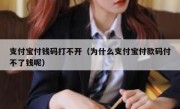 支付宝付钱码打不开（为什么支付宝付款码付不了钱呢）
