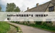 twitter如何查找用户名（推特查用户名）