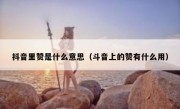 抖音里赞是什么意思（斗音上的赞有什么用）