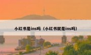 小红书是ins吗（小红书就是ins吗）