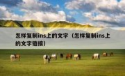 怎样复制ins上的文字（怎样复制ins上的文字链接）