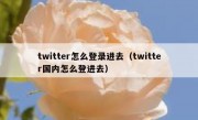 twitter怎么登录进去（twitter国内怎么登进去）