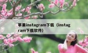 苹果instagram下载（instagram下载软件）