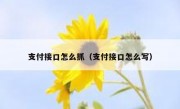 支付接口怎么抓（支付接口怎么写）