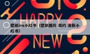 壁纸ins小红书（壁纸图片 简约 清新小红书）
