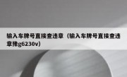 输入车牌号直接查违章（输入车牌号直接查违章豫g6230v）