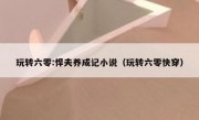 玩转六零:悍夫养成记小说（玩转六零快穿）
