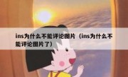 ins为什么不能评论图片（ins为什么不能评论图片了）
