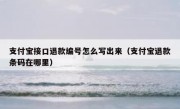 支付宝接口退款编号怎么写出来（支付宝退款条码在哪里）