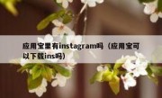 应用宝里有instagram吗（应用宝可以下载ins吗）