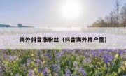 海外抖音涨粉丝（抖音海外用户量）