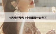 今天限行号吗（今天限行什么号了）