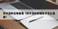 快手涨粉在哪里看（快手涨粉数据助手怎么查看）