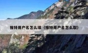 推特用户名怎么填（推特用户名怎么取）