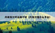 代收支付平台哪个好（代支付是什么平台）