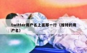 twitter用户名上面那一行（推特的用户名）