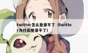 twitter怎么登录不了（twitter为什么登录不了）