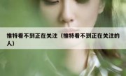推特看不到正在关注（推特看不到正在关注的人）