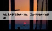 支付宝如何获取支付接口（怎么调用支付宝接口）
