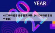 小红书和抖音哪个容易挣钱（小红书和抖音哪个更好）